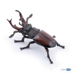 Kolli: 5 Stag beetle