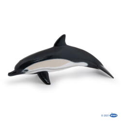 Kolli: 5 Common dolphin