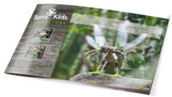 Kolli: 2 Terra Kids Connectors – Construction Kit Forest Heroes