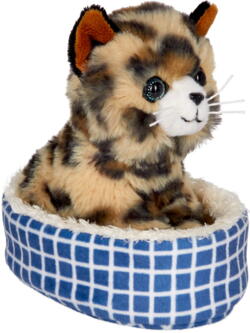 Kolli: 2 Plush cat Cleo in the basket