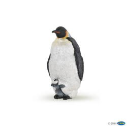 Kolli: 5 Emperor penguin