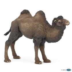 Kolli: 5 Bactrian camel