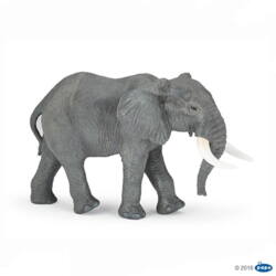 Kolli: 1 Large African elephant