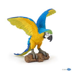 Kolli: 5 blue ara parrot