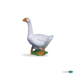 Kolli: 5 White goose
