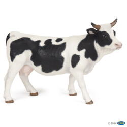 Kolli: 5 Black and white cow