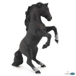 Kolli: 5 Black reared up horse