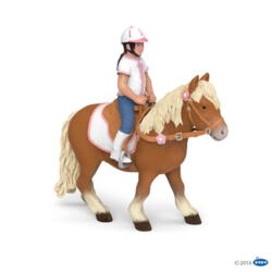 Kolli: 5 Shetland pony with saddle