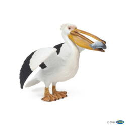 Kolli: 5 Pelican