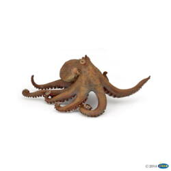 Kolli: 1 Octopus