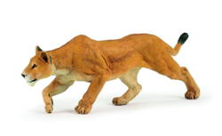 Kolli: 5 Lioness chasing
