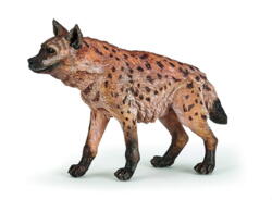 Kolli: 5 Hyena