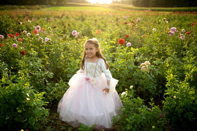 Kolli: 1 Golden Rose Princess Dress, Size 7-8