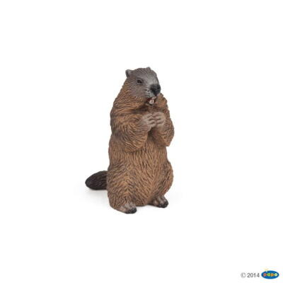 Kolli: 5 Marmot