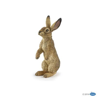 Kolli: 5 Standing hare