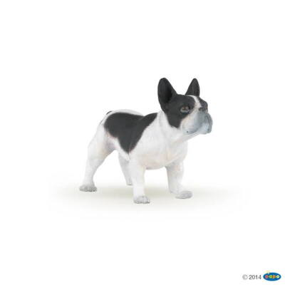 Kolli: 5 French black and white bulldog