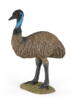Kolli: 5 Emu