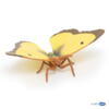 Kolli: 5 Clouded yellow butterfly