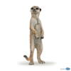 Kolli: 5 Standing meerkat
