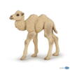 Kolli: 5 Camel calf