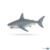 Kolli: 1 White shark
