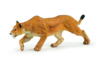 Kolli: 5 Lioness chasing