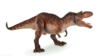 Kolli: 1 Gorgosaurus