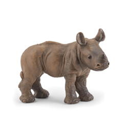 Kolli: 5 Rhinoceros calf
