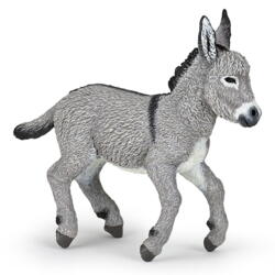 Kolli: 5 Provence donkey foal