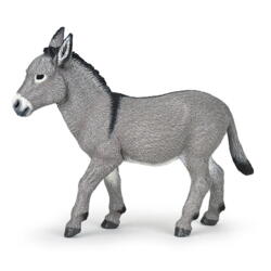 Kolli: 5 Provence donkey