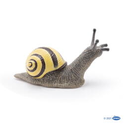 Kolli: 5 Grove snail