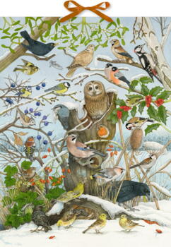 Kolli: 1 Our Birds in Winter - Bird Sounds Advent Calendar