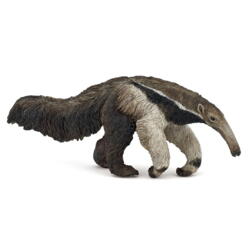 Kolli: 5 Giant anteater