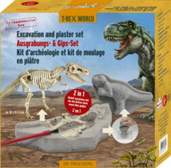 Kolli: 3 Excavation and plaster set T-Rex