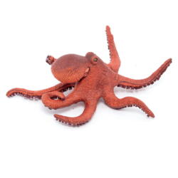 Kolli: 5 Little octopus
