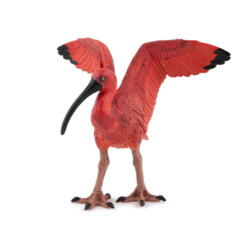 Kolli: 5 Scarlet Ibis