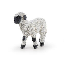 Kolli: 5 Valais Blacknose Lamb