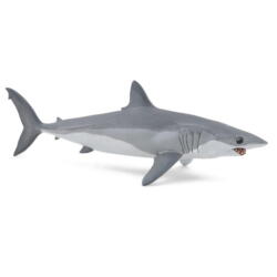 Kolli: 5 Mako shark