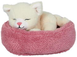 Kolli: 2 Sleeping cat Penny in the basket