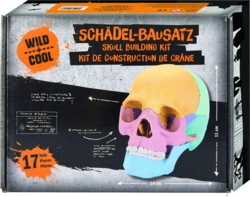 Kolli: 2 Skull building kit
