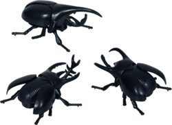 Kolli: 12 Wind-Up Beetle