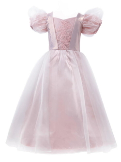 Kolli: 1 Platinum Princess Gown, SIZE US 3-4