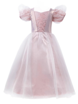 Kolli: 1 Platinum Princess Gown, SIZE US 9-10