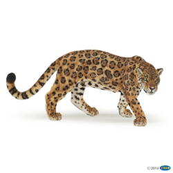 Kolli: 5 Jaguar