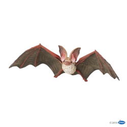 Kolli: 5 Bat