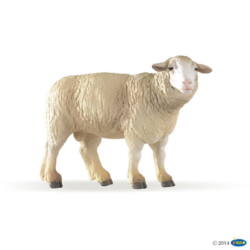 Kolli: 5 Sheep