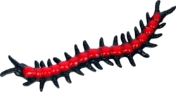 Kolli: 12 Sticky centipede