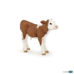 Kolli: 5 Simmental calf