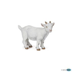 Kolli: 5 White kid goat