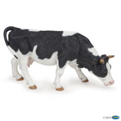 Kolli: 5 Black and white grazing cow